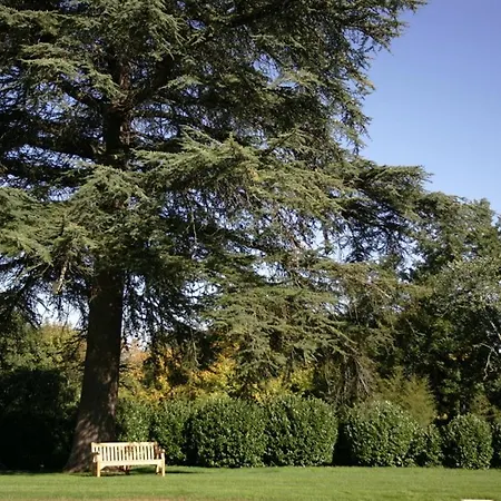 Gasthuis Du Chateau Mont D'onel Couze-et-Saint-Front