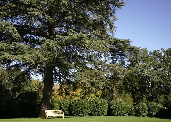 بيت ضيافة Du Chateau Mont D'onel Couze-et-Saint-Front